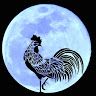 roostermoon