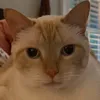 thesnekkysnek