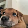 newstodaynews