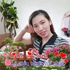 hango516