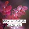 fahadfaris2