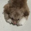 mocha_ninefive