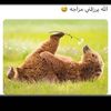 s9s.__1