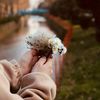 sama_zy5