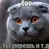 kasp.ex