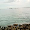 hasimase1