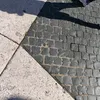 albertico1210