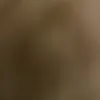 jgkloxljgfdse9532