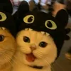 matushkamo