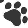 watership_down_collector