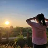 myhoa120199