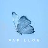 YPAPILLON
