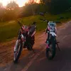 misha_sadovnik
