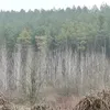 akos_1200