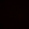 danya_pauk
