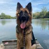ares_the_gsd