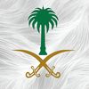 saad.bljik