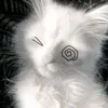 keicon1