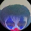 yazzen_tk
