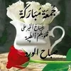 mohamedlotfi72