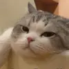 soyjuank_
