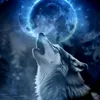xarowolf