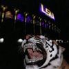 randomlsufan