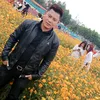 phuongvi6