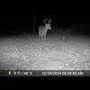 cayden_850