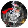 Storage Auction Pirate