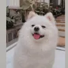 bunkyy_