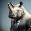 misterrhinoman