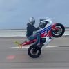 tigmasterflex71tr