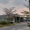 yushsudb26267282