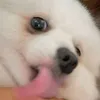 leilyur