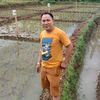 robbysubekti