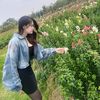pham_linh_03