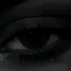 ro_._ro2