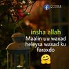 laylaqadar