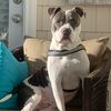 snooty0913
