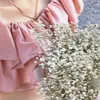 nhutun_15