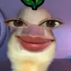 ciosay999