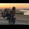 mikehoncho123