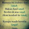 cinabukit01_