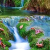 ahmednoor157