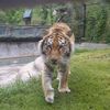 amyguice28