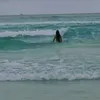 michely.nunes