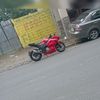 michaelmaza43