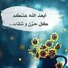 omo.lbanat1