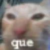 tralalelo12342